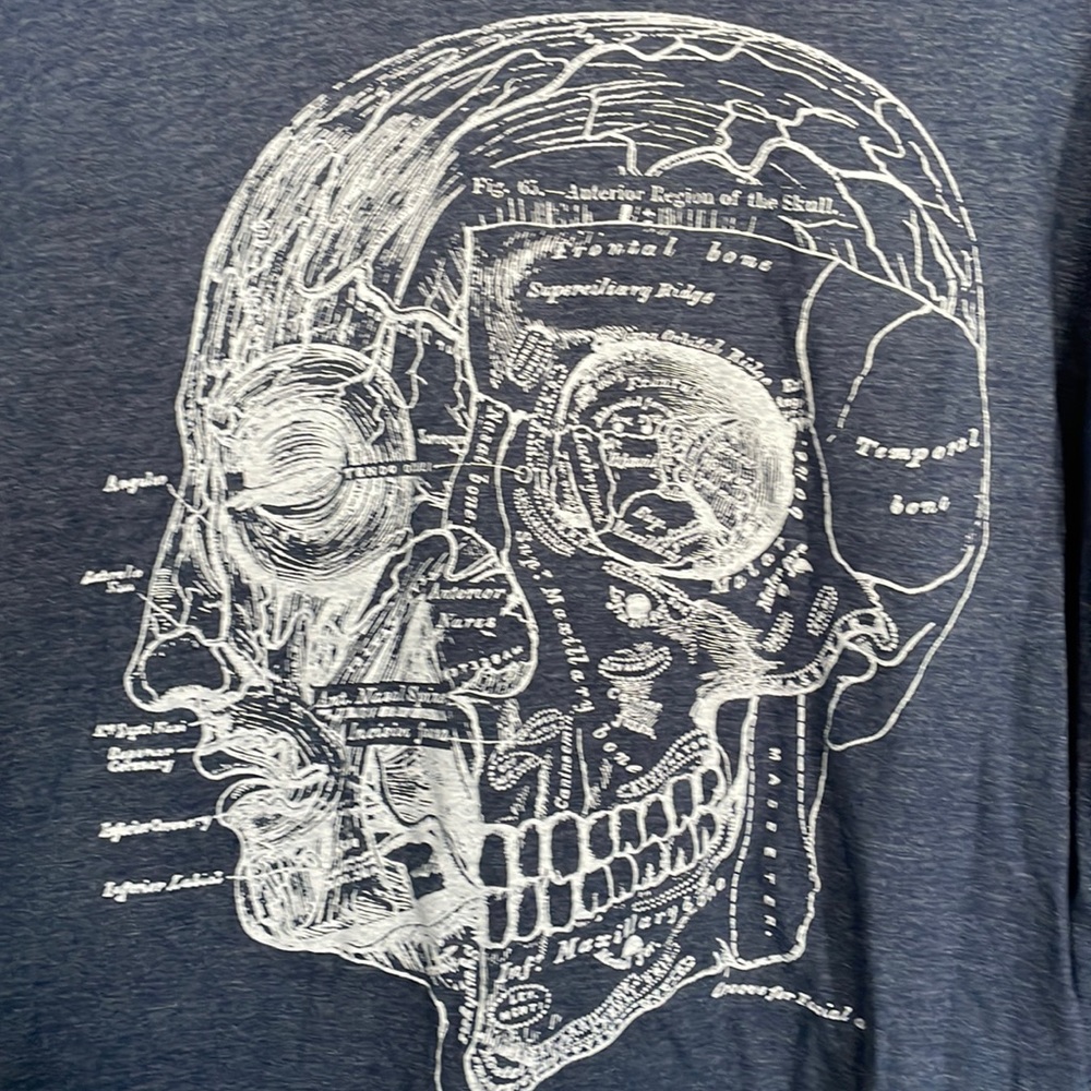 Human Head Anatomy Tee